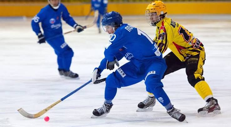 A Guide to Betting on Bandy